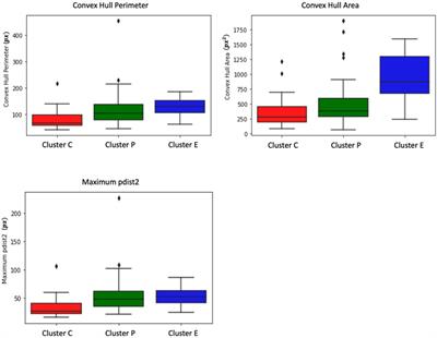 Deep learning classification for macrophage subtypes through cell migratory pattern analysis